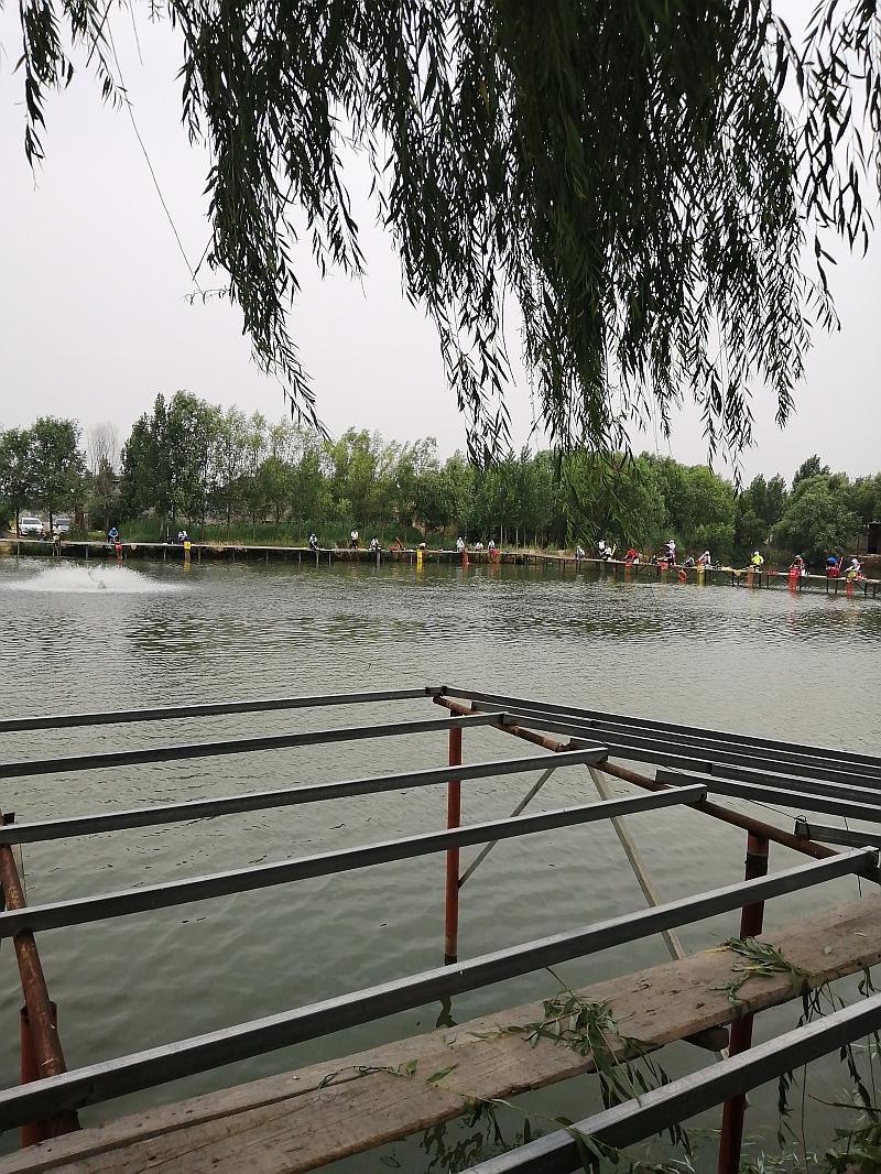 鱼情介绍图片