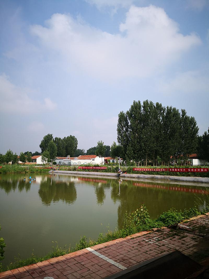 鱼情介绍图片