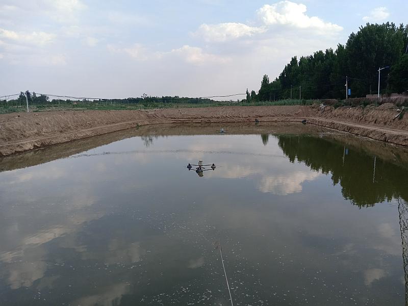 鱼情介绍图片