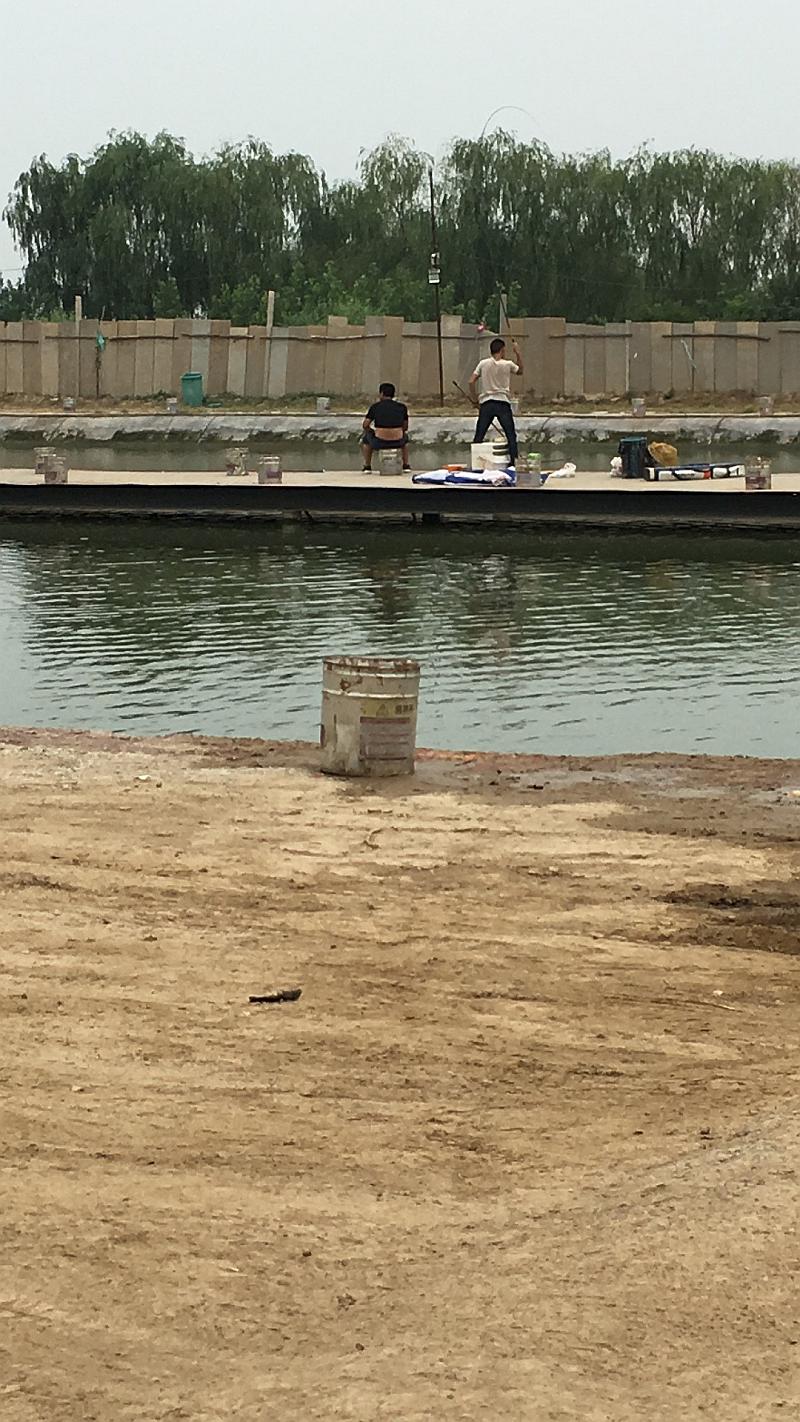 鱼情介绍图片