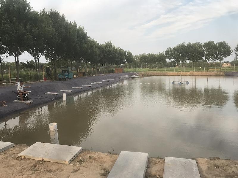鱼情介绍图片