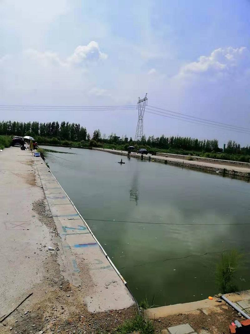 鱼情介绍图片