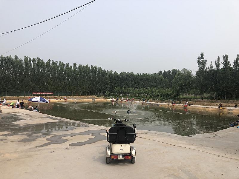 鱼情介绍图片