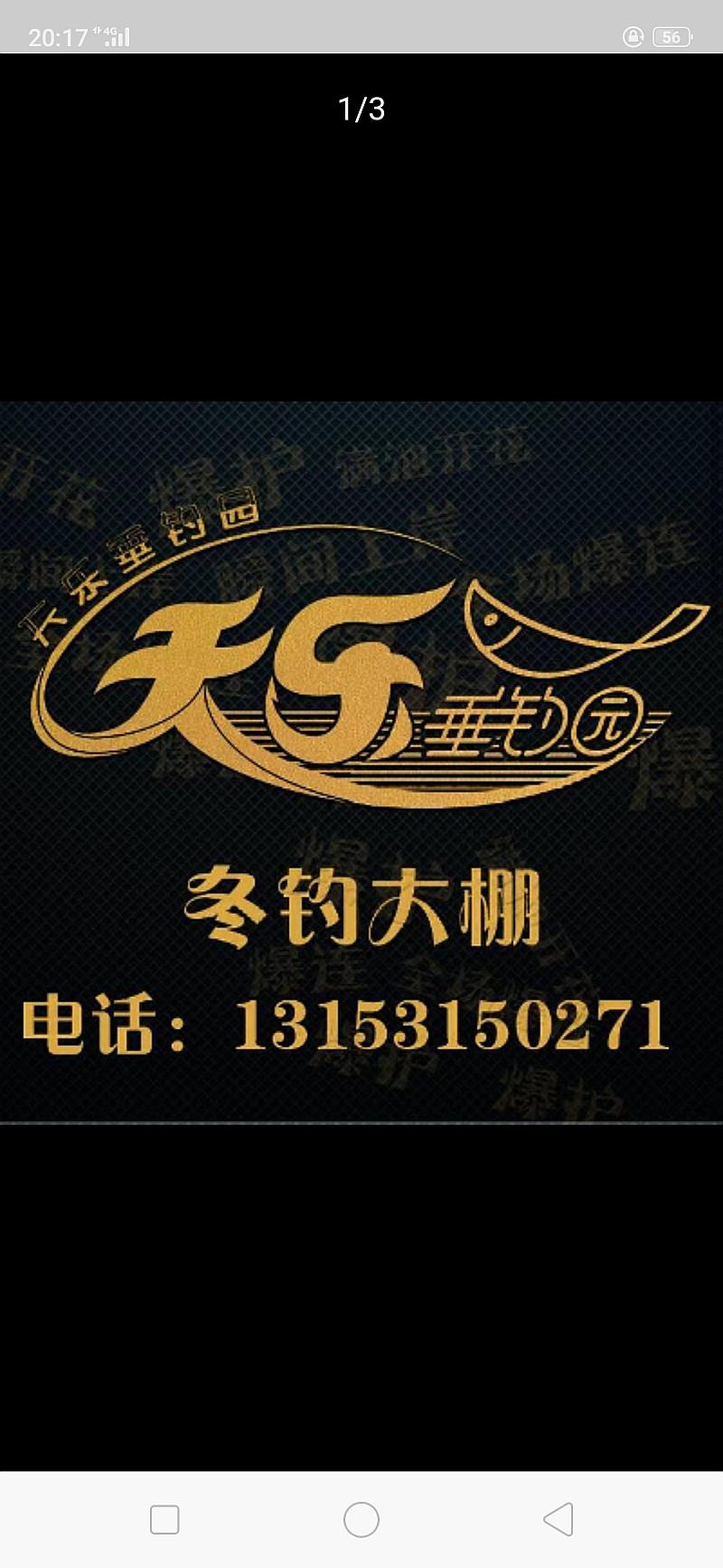 鱼情介绍图片