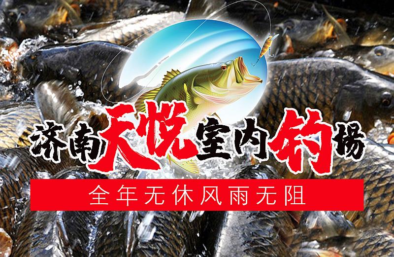 鱼情介绍图片