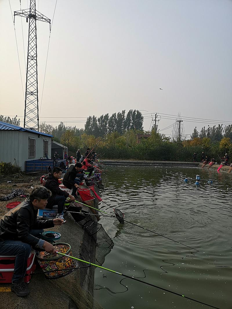 鱼情介绍图片