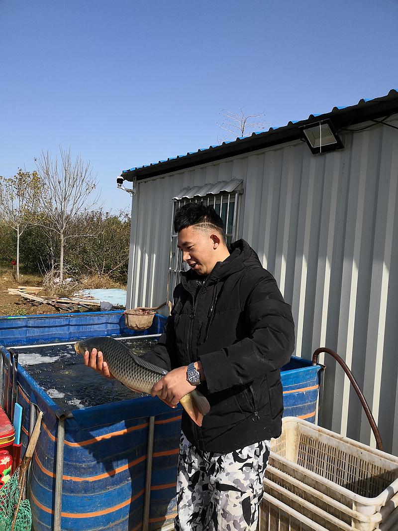 鱼情介绍图片