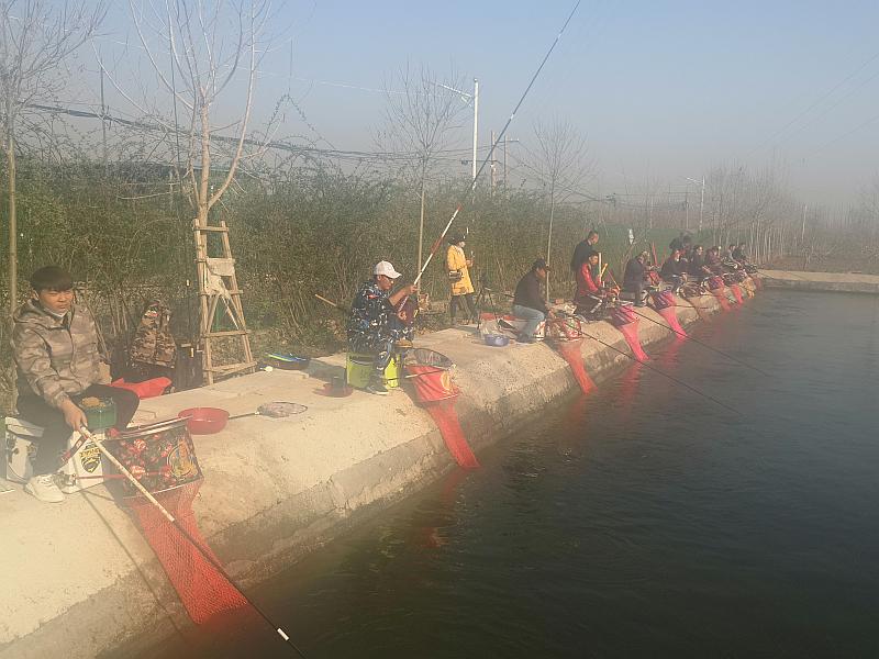 鱼情介绍图片
