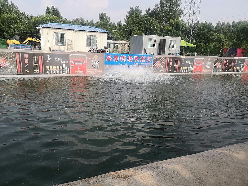 鱼情介绍图片