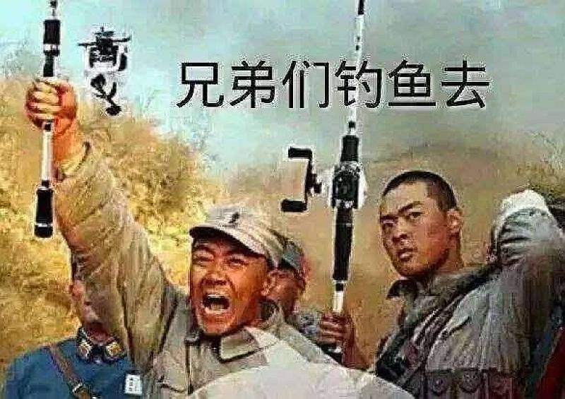 鱼情介绍图片