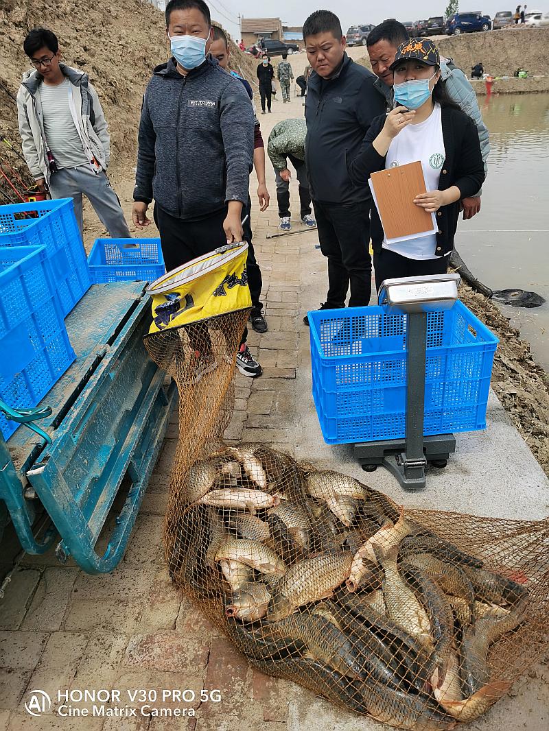 鱼情介绍图片