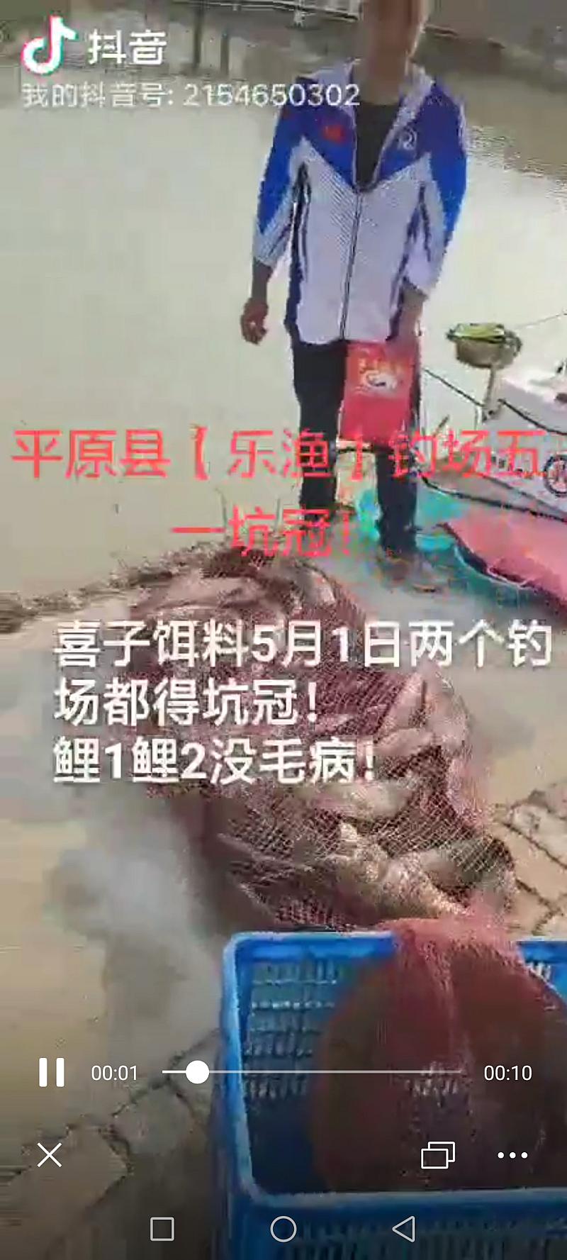 鱼情介绍图片