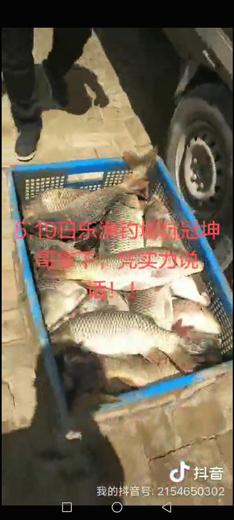鱼情介绍图片