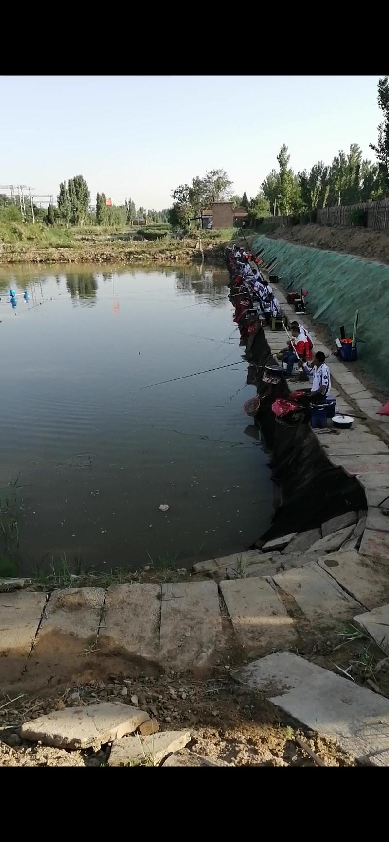 鱼情介绍图片