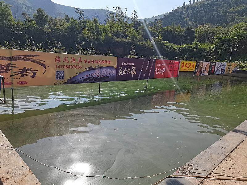 鱼情介绍图片
