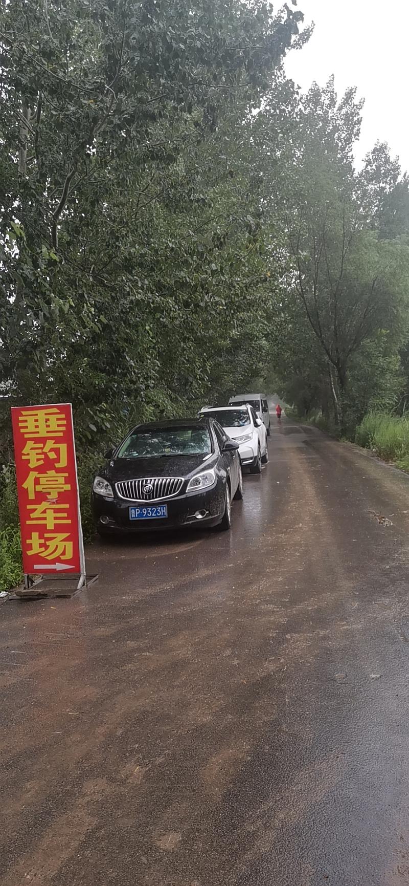 鱼情介绍图片