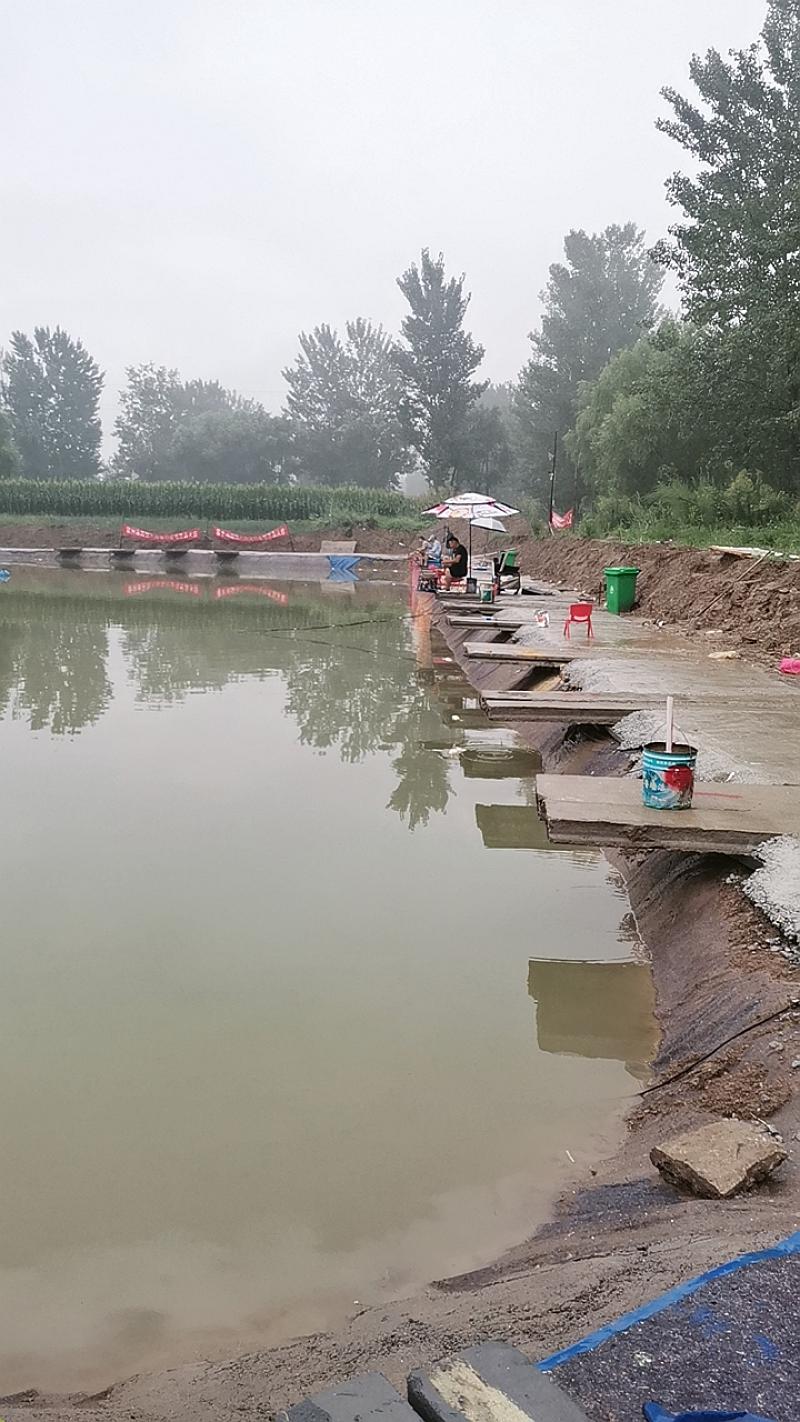 鱼情介绍图片