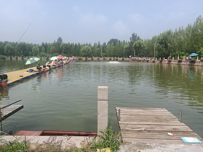 鱼情介绍图片