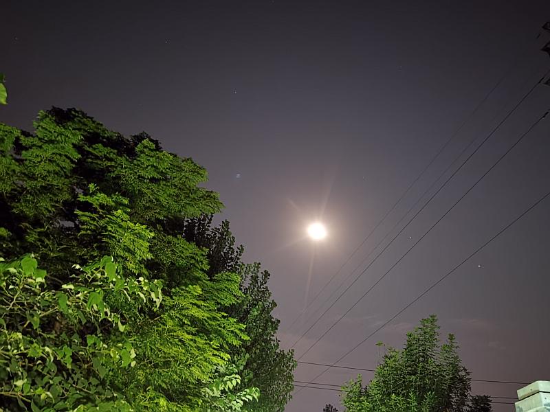 鱼情介绍图片