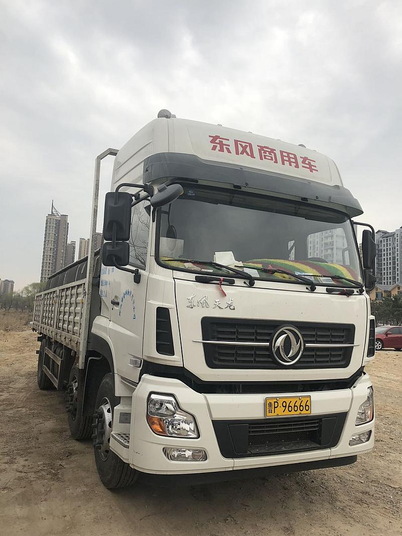 鱼情介绍图片
