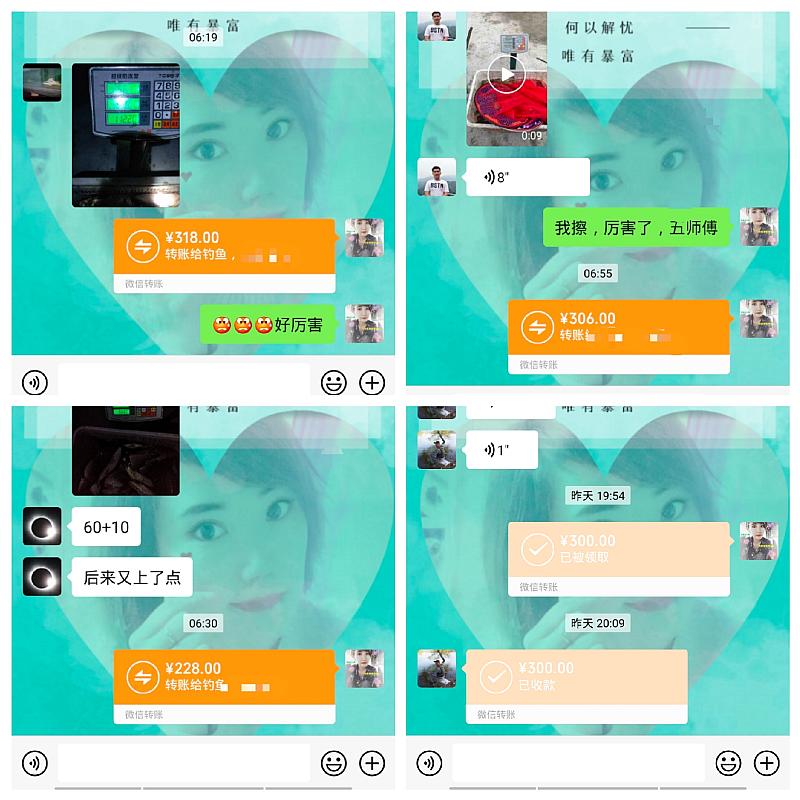 鱼情介绍图片