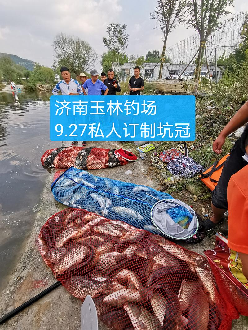 鱼情介绍图片