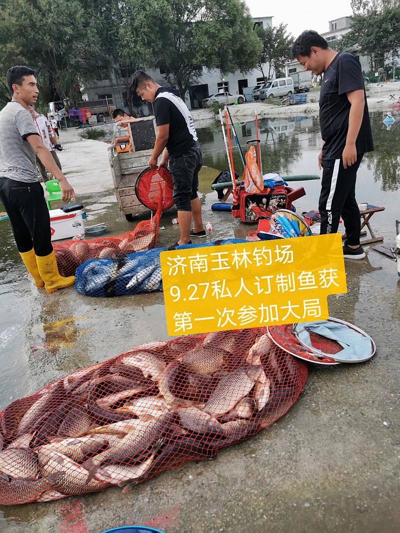 鱼情介绍图片