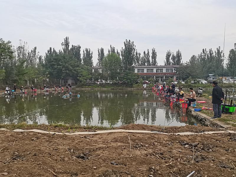 鱼情介绍图片