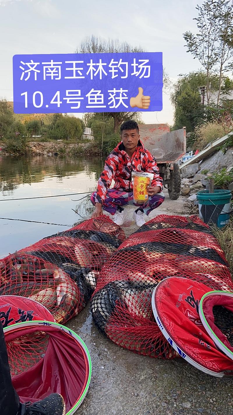 鱼情介绍图片