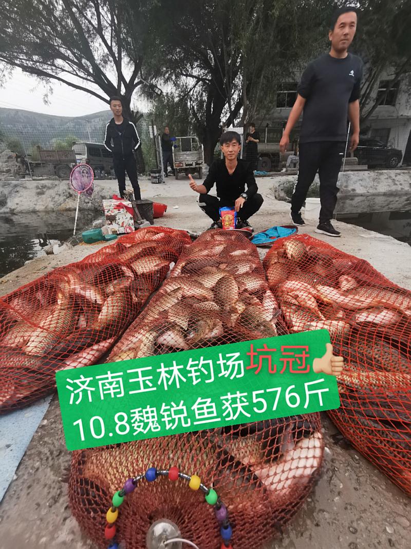 鱼情介绍图片