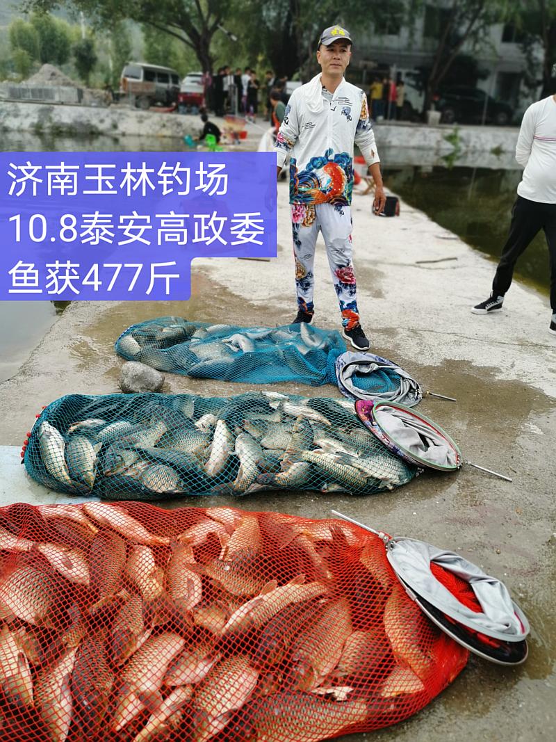 鱼情介绍图片