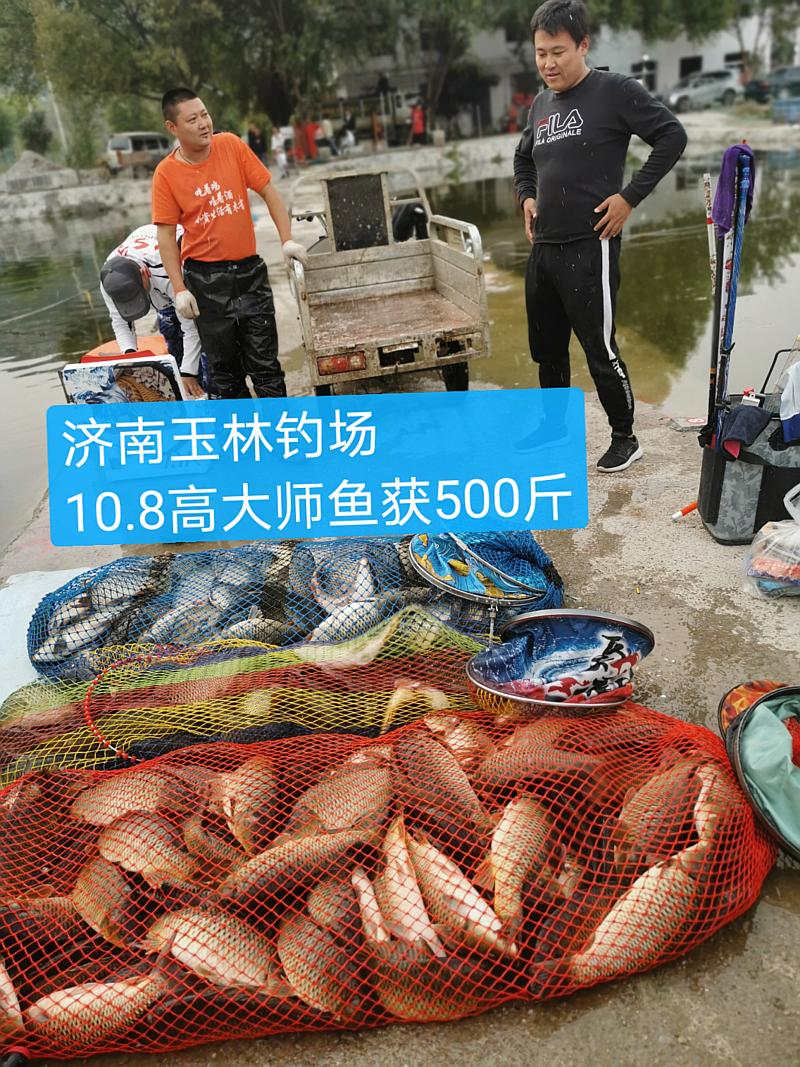 鱼情介绍图片