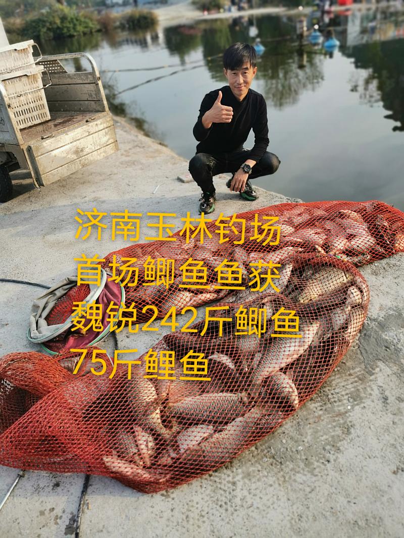 鱼情介绍图片