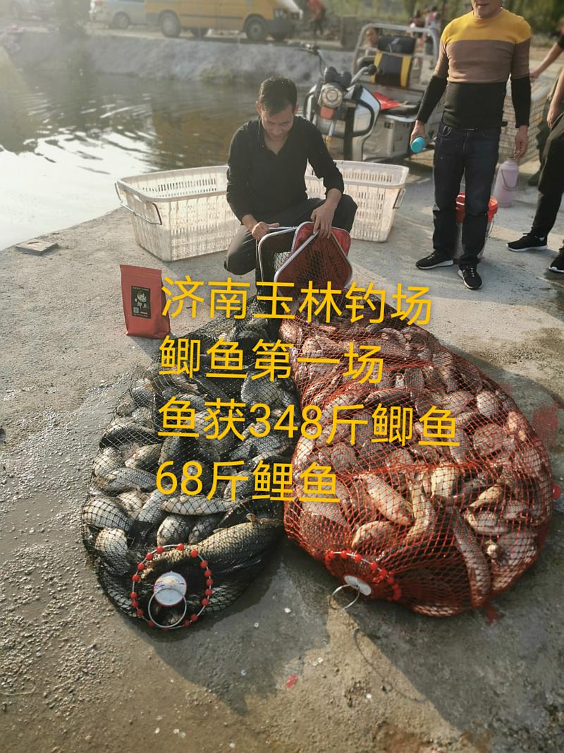 鱼情介绍图片