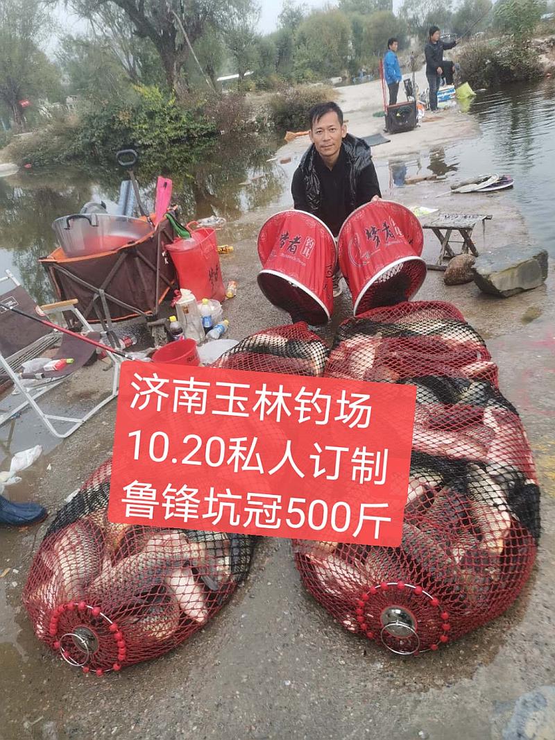 鱼情介绍图片