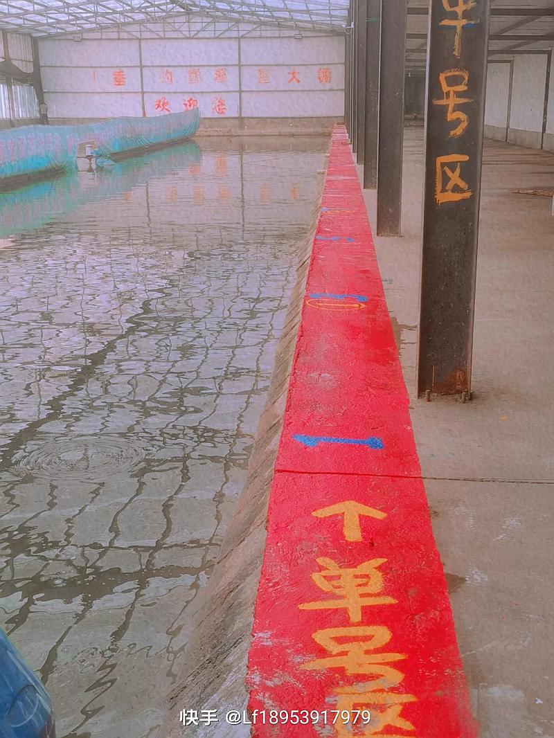 鱼情介绍图片