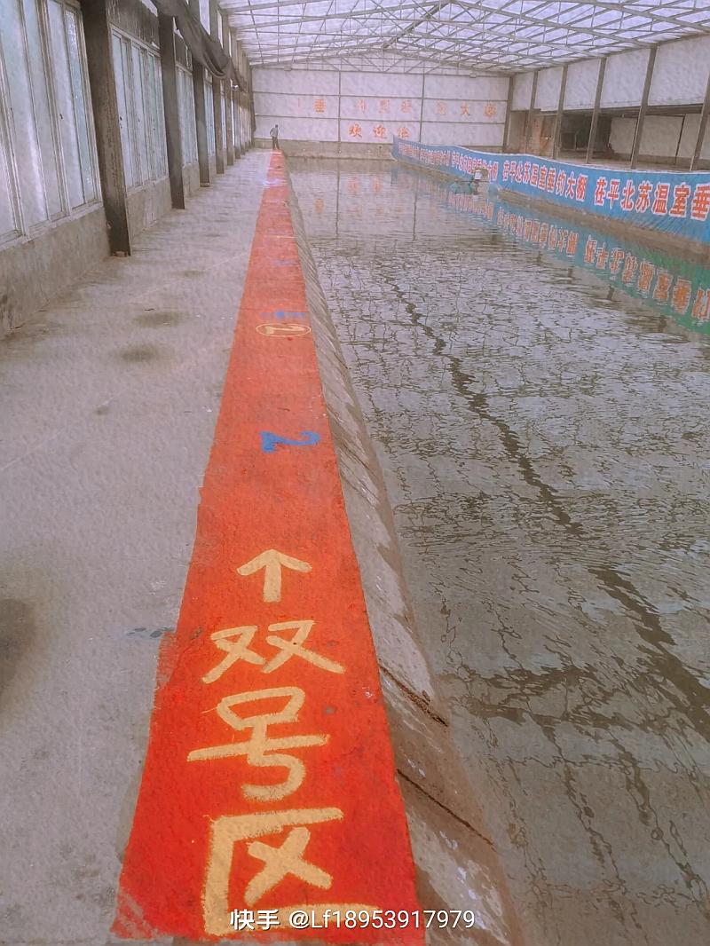 鱼情介绍图片