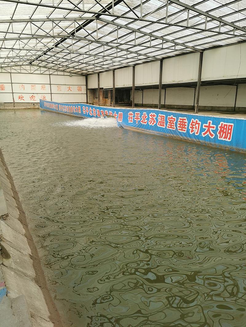 鱼情介绍图片