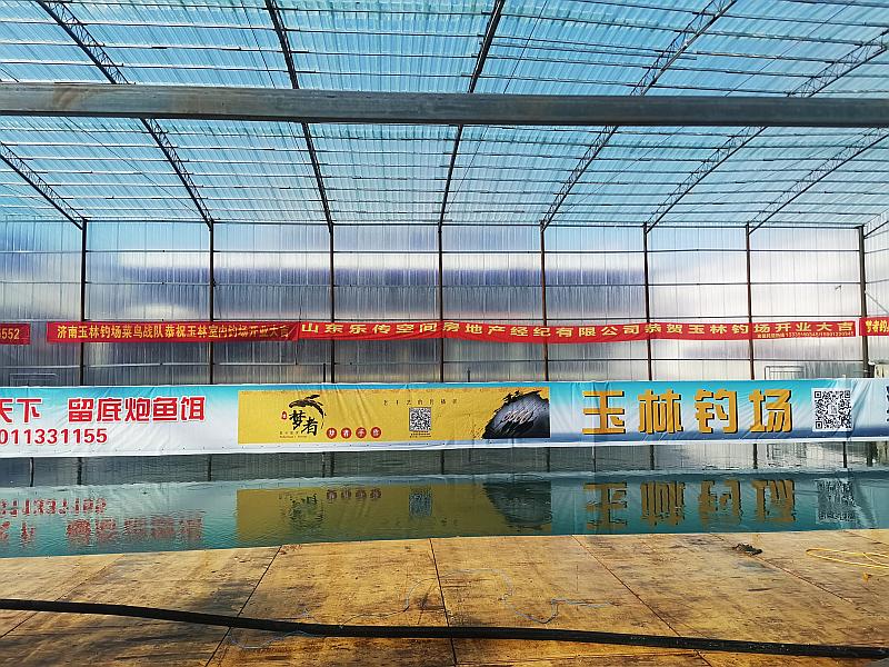 鱼情介绍图片