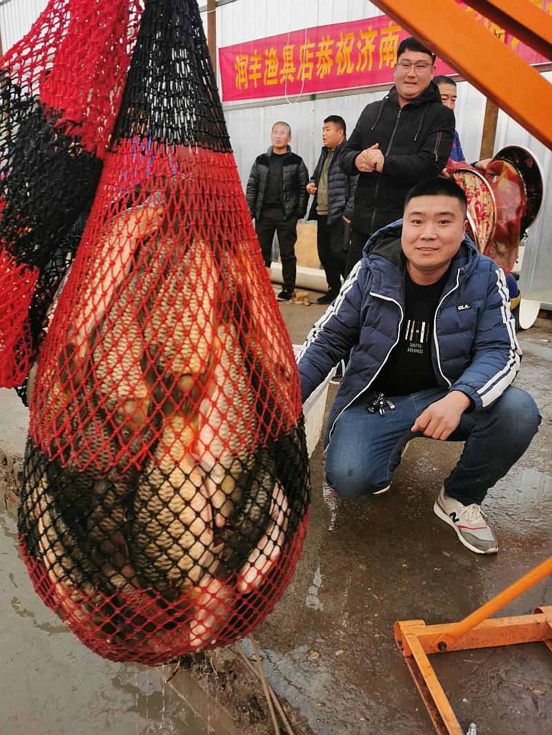 鱼情介绍图片