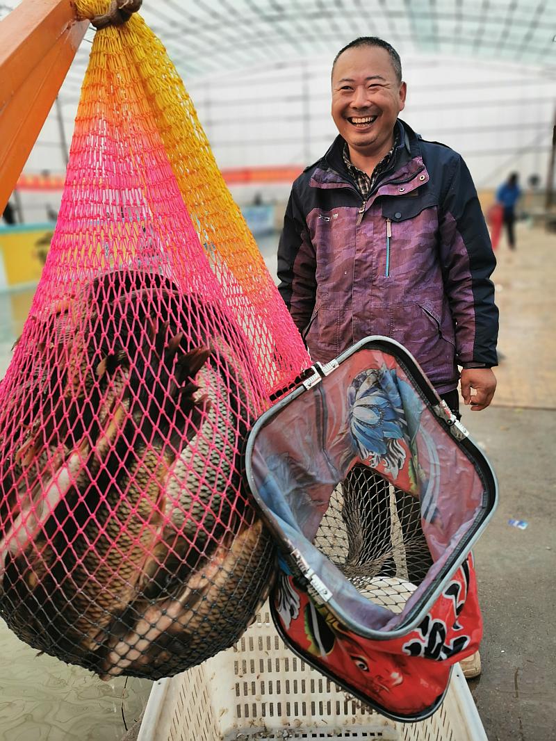 鱼情介绍图片
