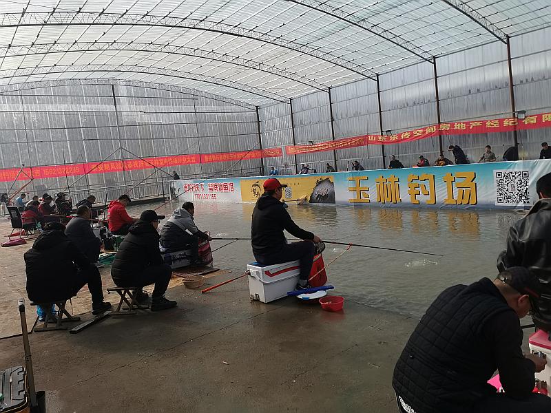 鱼情介绍图片
