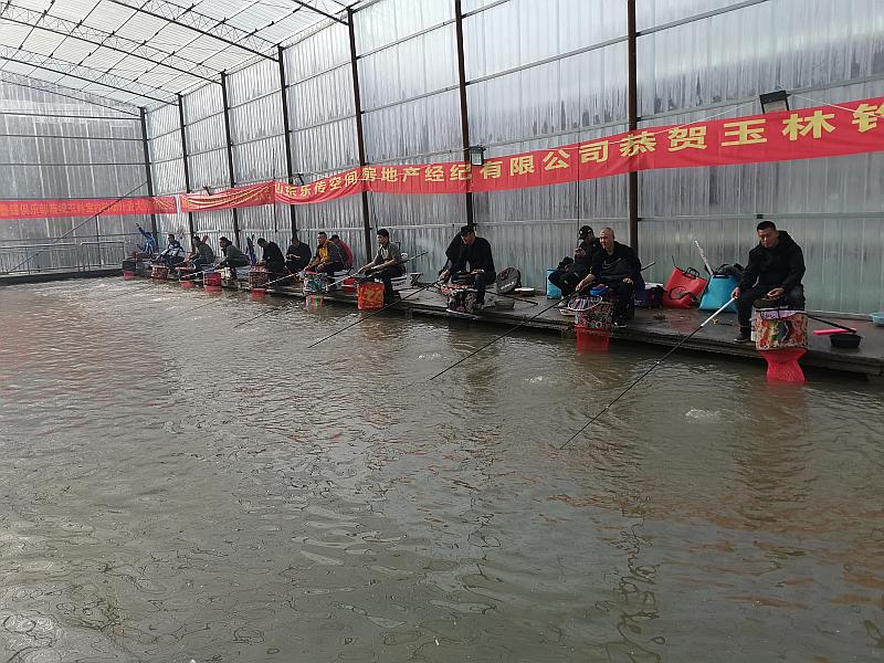 鱼情介绍图片