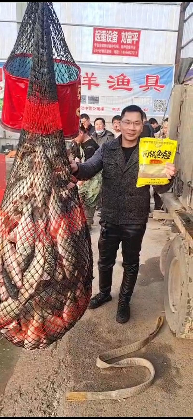 鱼情介绍图片
