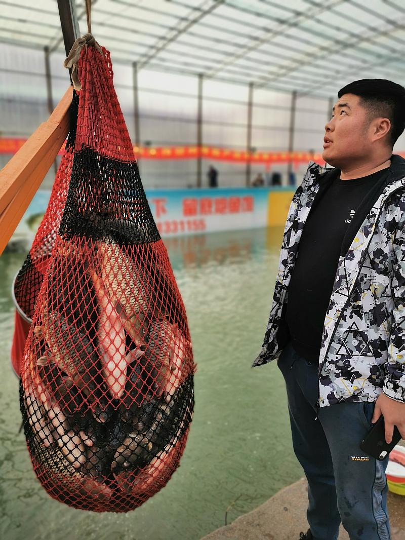 鱼情介绍图片