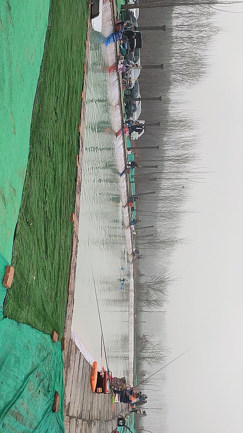 鱼情介绍图片