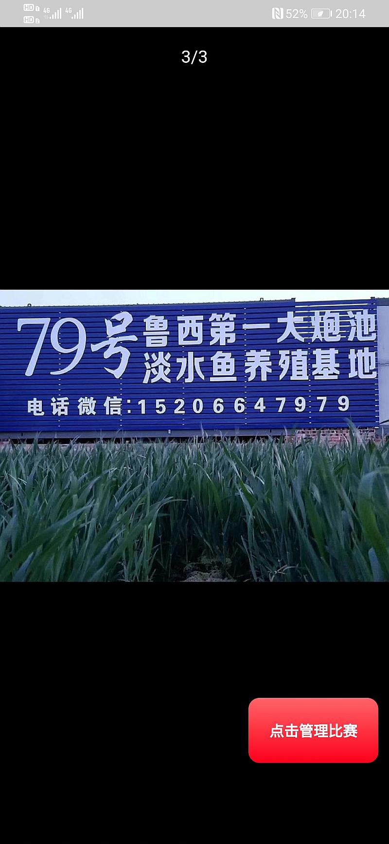 鱼情介绍图片