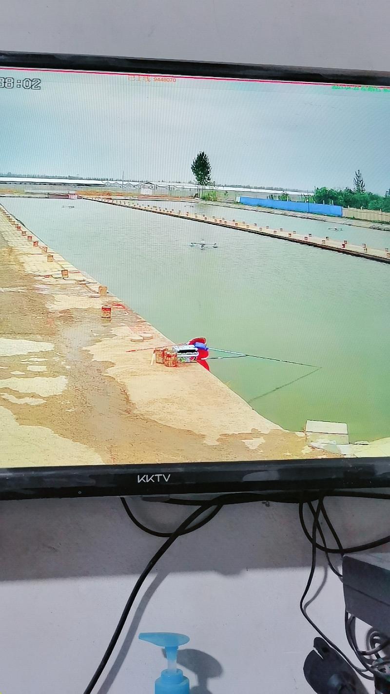 鱼情介绍图片