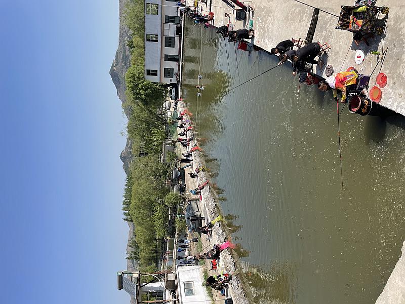 鱼情介绍图片