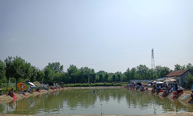 鱼情介绍图片